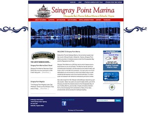 stingray point website screen shot